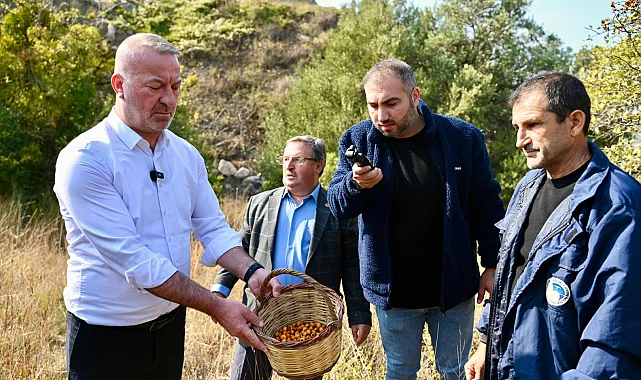 Bursa Karacabey 'Alıç Meyvesi'ni dünya pazarında tanıtacak!