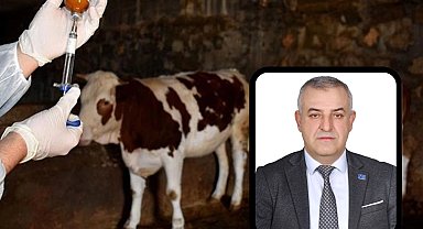 Bursa Mustafakemalpaşa'da şap alarmına A Parti açıklaması