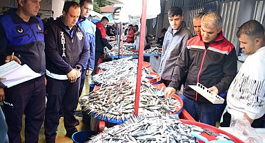 Bursa Yenişehir'de balık pazarına sıkı denetim