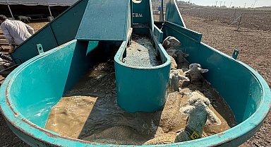 Bursa'da 'Tarımda İnegöl Modeli' ile kırsal kalkınmaya tam destek