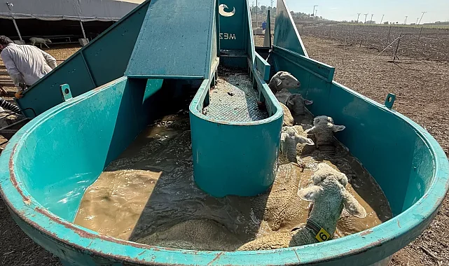 Bursa'da 'Tarımda İnegöl Modeli' ile kırsal kalkınmaya tam destek