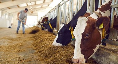 CİMER’e Giden Şikayet Köyde Gündem Oldu