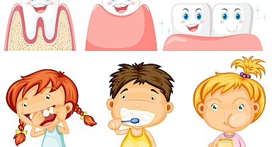 Çocuğunuzun dişleri sizce kaç yaşında?