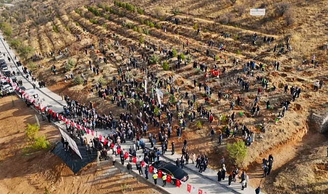 Deprem Şehitleri Hatıra Ormanı yenileniyor