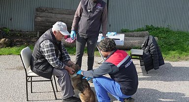 Düzce'de yerinde sahiplendiriliyor!