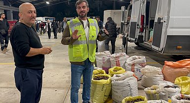 Düzce'nin tescilli lezzeti kuzu kestanesi pazara indi!