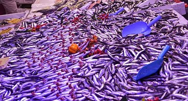 Eskişehir'de balık satış yerlerine ortak denetim