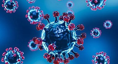 Frankenstein varyantı... COVID-19'da yeni tehlike!