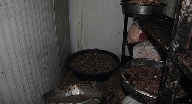 Gastronomi Şehrinde Bozuk Et Skandalı