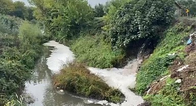 Gemlik Körfezi Tehlikede