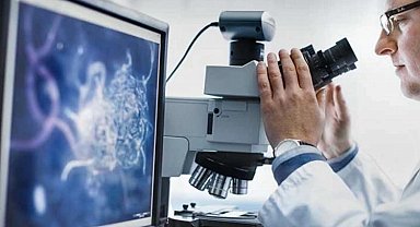 Hizmette en yüksek artış mesleki ve bilimsel oldu