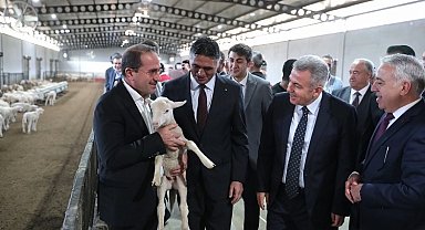 İzmir Aliağa tarımsal kalkınmada örnek oluyor