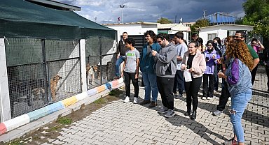 İzmir Bornova'da can dostlar için el ele
