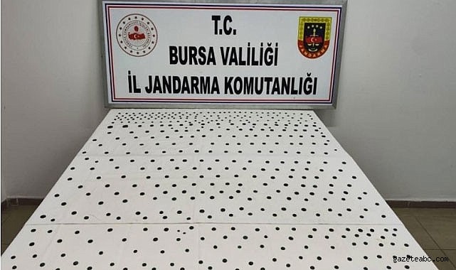 İznik’te Tarihi Sikke Operasyonu