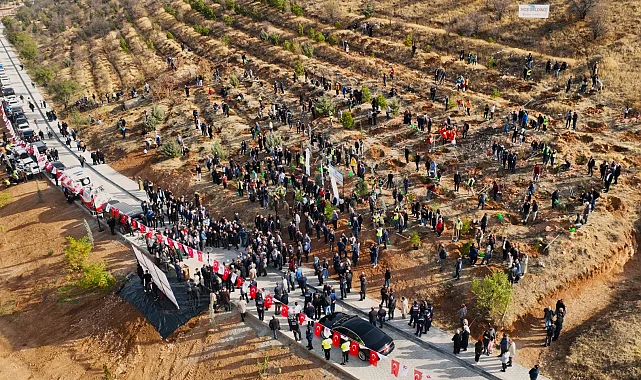 Malatya'da deprem şehitleri hatıra ormanı yenileniyor