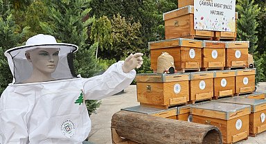 Muğla'da çam balı hasadı coşkuyla kutlandı