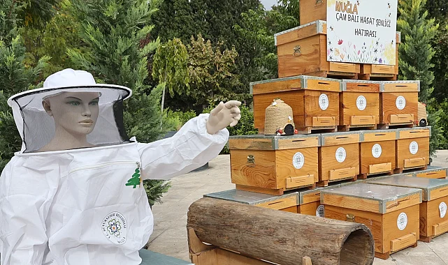 Muğla'da çam balı hasadı coşkuyla kutlandı