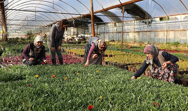 Muğla'da kadın emeğiyle gelecek inşa ediliyor