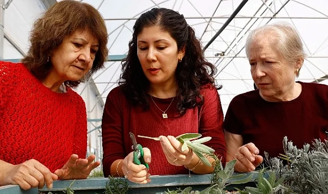 Antalya'da 'Tıbbi ve Aromatik Bitki Yetiştiriciliği' kursu ilgi görüyor