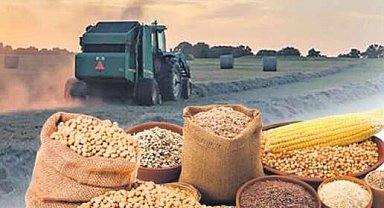 Arpa ve mısır ithalatında tarife kontenjanı güncellendi