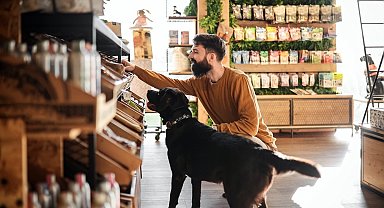 Bitki bazlı ve hücreden üretilmiş evcil hayvan mamalarına talep yükseliyor