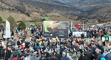 Bursa Gürsu'da yangın bölgesi yeniden hayat buluyor