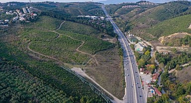 Bursa Yeniden Yeşeriyor