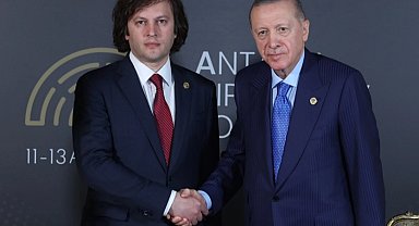 Cumhurbaşkanı Erdoğan, Gürcistan Başbakanı Kobakhidze ile görüştü