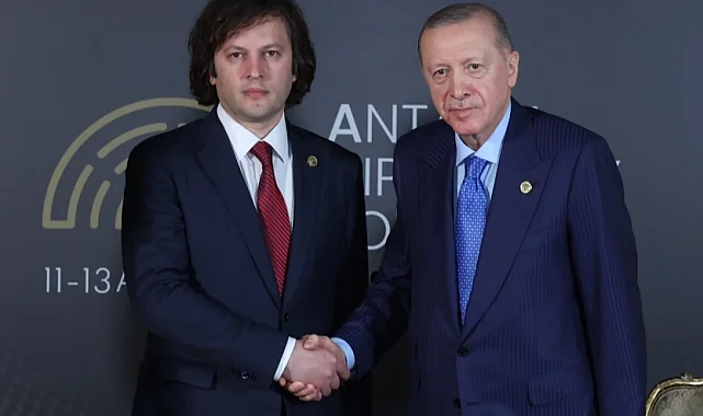 Cumhurbaşkanı Erdoğan, Gürcistan Başbakanı Kobakhidze ile görüştü