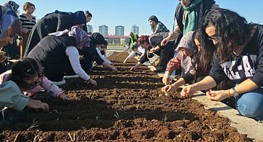Diyarbakır Tıbbi ve Aromatik Bitkiler Atölyesi'nde safran ekimi