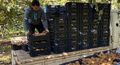 Hafta İçi İş İnsanı, Hafta Sonu Çiftçi: Engin Balta'nın İki Yönlü Başarısı