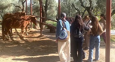 İzmir Narlıdere'de gönüllülere teşekkür