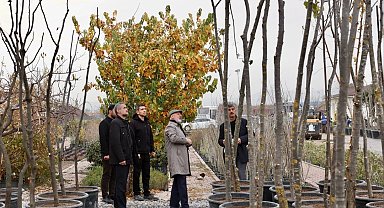 Kayseri Kocasinan şehri yeşile boyuyor