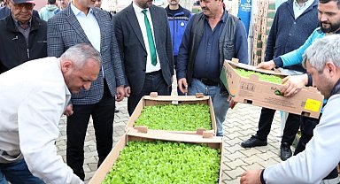 Kocaeli'de Gebzeli çiftçilere 500 bin fide dağıtıldı