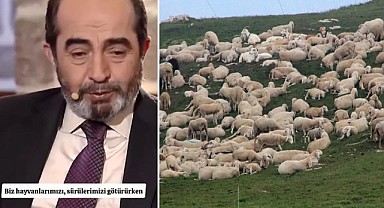 Koyunların Götürdüğü Şehit Sırrı