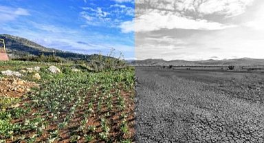 Mersin'de iklim ve yeşil dönüşüm önceliği