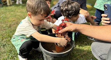 Minik eller Sakarya'da umut ekti