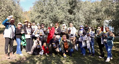 Mudanya'da Zeytin Hasadı Sezonu Başladı