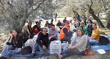 Mudanya'da birlikte zeytin topladılar