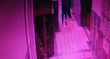 Pendik'te Kadın Cinayeti