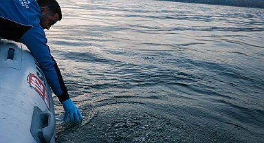 Sapanca Gölü'ndeki su kabarcıkları endişelendirdi! Herhangi bir olumsuzluk yok!