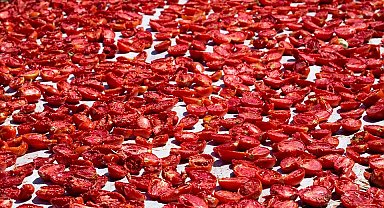 Şifa deposu kuru domates ihracatta dünya ikincisi