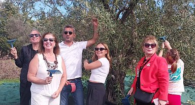 Urla'da zeytin hasadı etkinliği