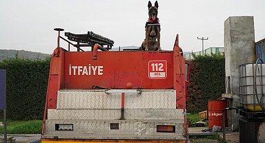 Balıkesir İtfaiyesi'nin yeni kahramanı: K9 köpeği İda