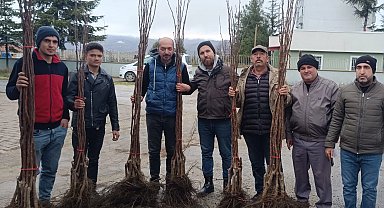 Bilecik Pazaryeri'nde 450 meyve fidanı çiftçilerle buluştu