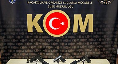 Bilecik'te kaçak silah operasyonu