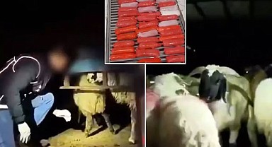 Bu Plan Şeytanın Aklına Gelmez