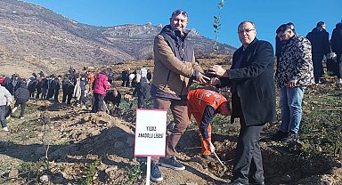 Bursa Gürsu'da 'Türkiye Yüzyılı Maarif Modeli' ışığında fidanlar toprakla buluştu