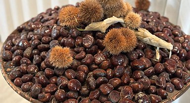 'Bursa Kestanesi'nin geleceği masaya yatırıldı