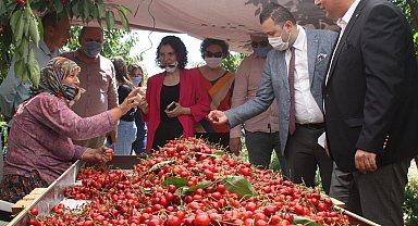 Çeribaşı Kirazı'na coğrafi işaret tescili